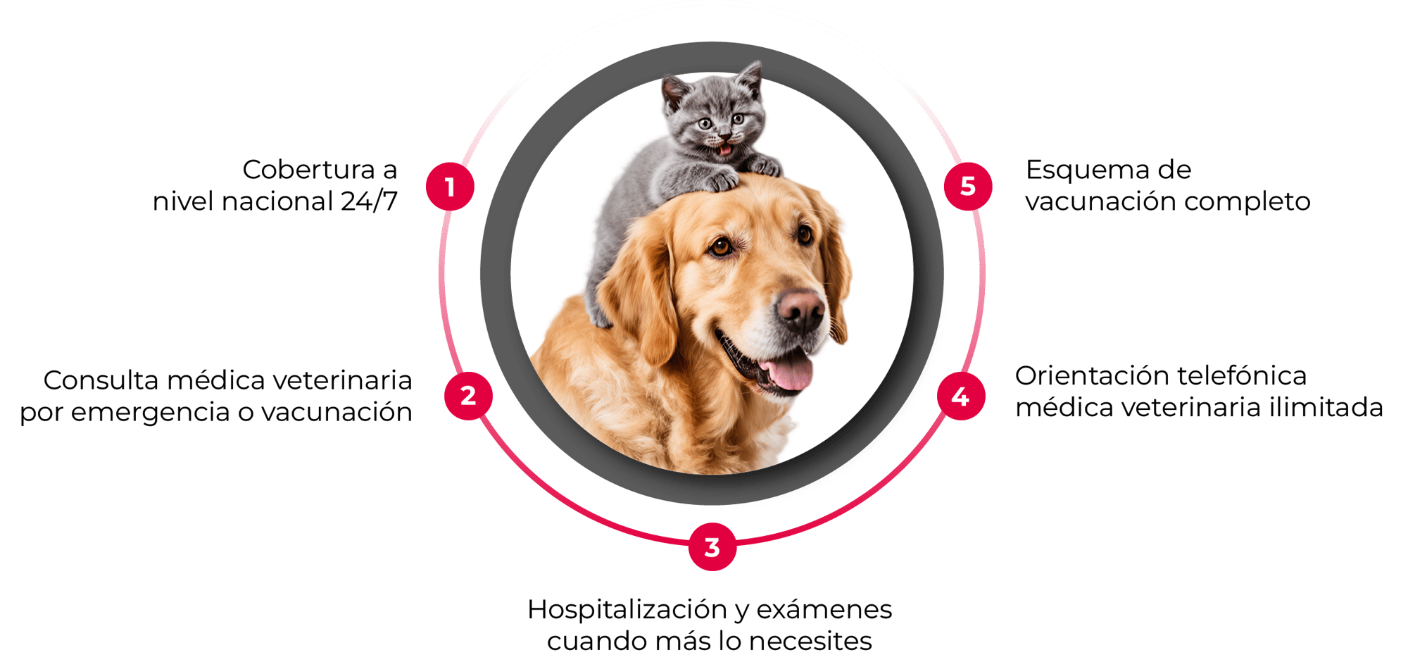Beneficios mascotas@2x