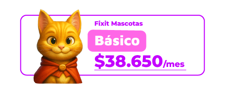 BASICO-1