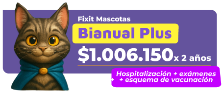 BIANUALPLUS-1