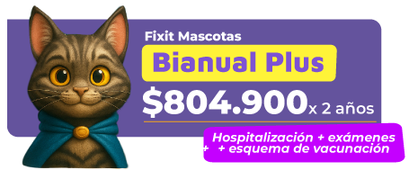 PLAN-BIANUAL