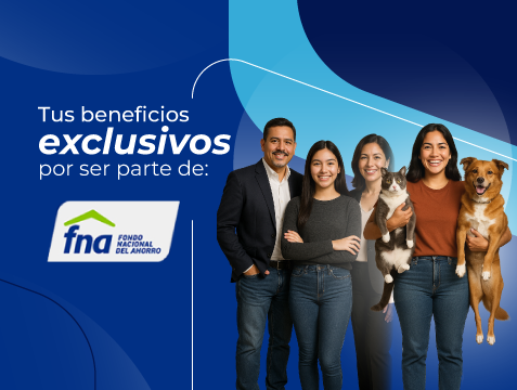 Header-version-Movil