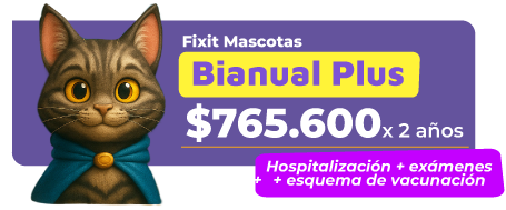 PLAN-FIXITMASCOTAS-01