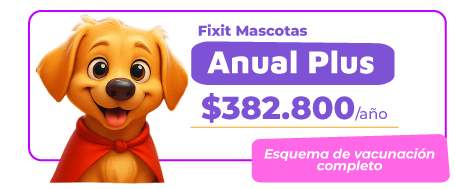 PLAN-FIXITMASCOTAS-02png