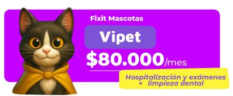 PLAN-FIXITMASCOTAS-03