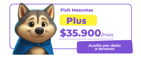 PLAN-FIXITMASCOTAS-04