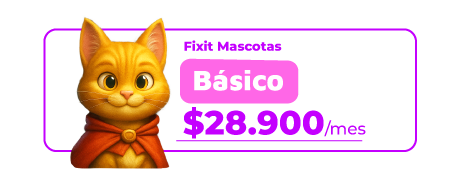 PLAN-FIXITMASCOTAS-05
