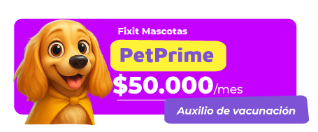 PLAN-FIXITMASCOTAS-06