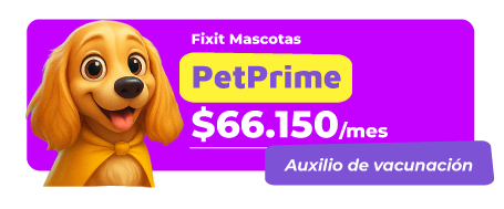 PET-PRIME-1