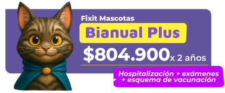 PLAN-FIXITMASCOTAS-01