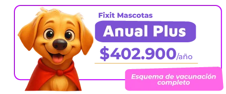 PLAN-FIXITMASCOTAS-02png