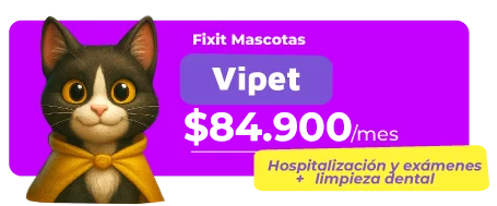PLAN-FIXITMASCOTAS-03