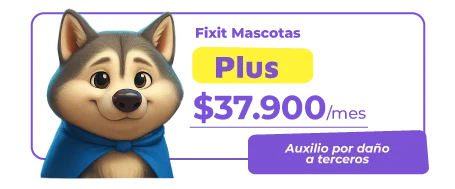 PLAN-FIXITMASCOTAS-04