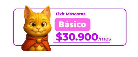 PLAN-FIXITMASCOTAS-05