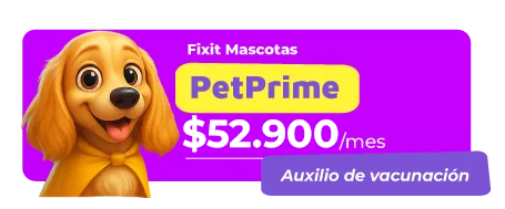 PLAN-FIXITMASCOTAS-06