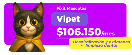 Vipet-1