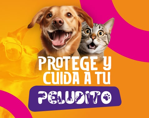 banner-mascotas-anual-movil